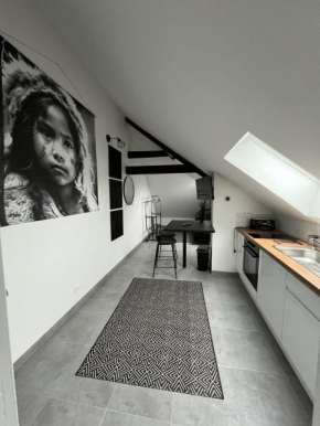 Apartment in Troyes